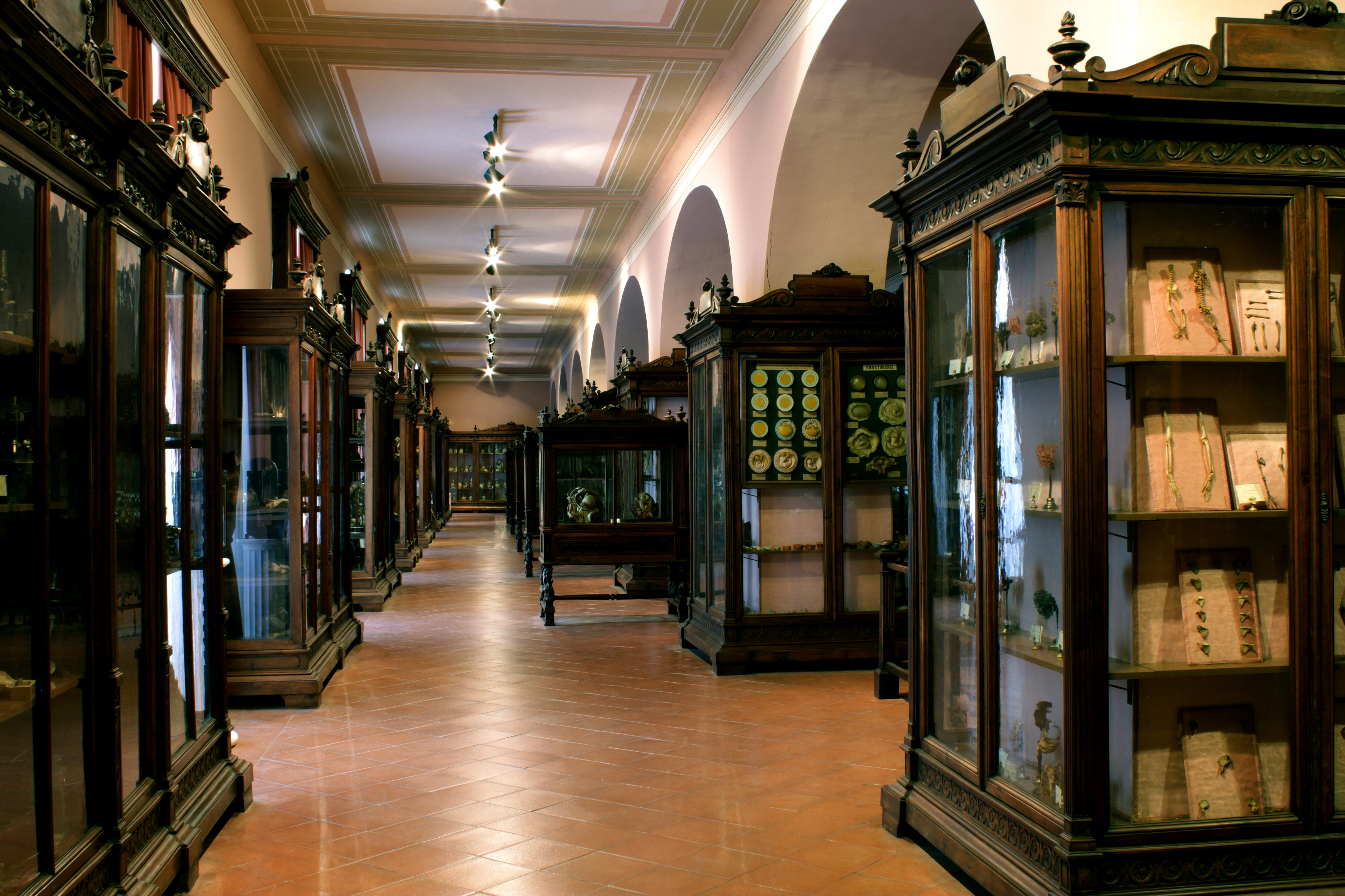 GEP 2021 | Giornate Europee del Patrimonio al MUSA